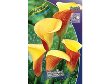 71,75���. ����� �����(�������� ���� �� 2 ��., ����������� ����� 1��.).jpg