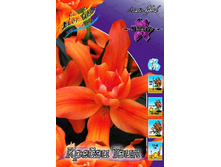 46,04���. ����� ������ ����(�������� ���� �� 5 ��., ����������� ����� 1��.).jpg