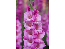 10,19���. ��������� ������(���������� ������ ������ ���������� �� 8 ��.)���16.jpg