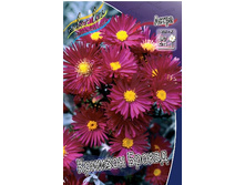 83,8���. ����� ������� ������(�������� ���� �� 1 ��., ����������� ����� 1��.).jpg