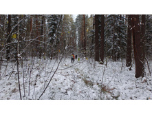 ��������� ��������)