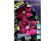 127,8���. �������� ������ ����(�������� ���� �� 3 ��., ����������� ����� 1��.).jpg