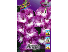 8,18���. ��������� ����(���������� ������ ������ ���������� �� 8 ��.).jpg