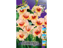 10,18���. ��������� �������(���������� ������ ������ ���������� �� 9 ��.).jpg