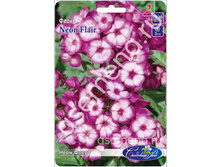 ���� ����.jpg