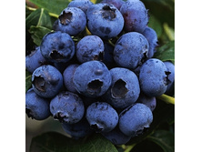 175���. �������� ������.jpg