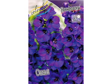 163,4���. ���������� ����(�������� ���� �� 1 ��., ����������� ����� 1��.).jpg