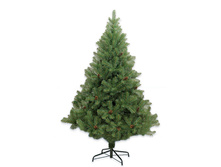 ��� ������ ���� - 180��.jpg