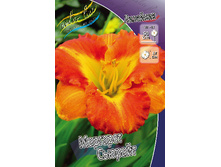 196,6���. �������� �������� �������(�������� ���� �� 1 ��., ����������� ����� 1��.).jpg