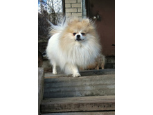 ��� ������ 017.JPG