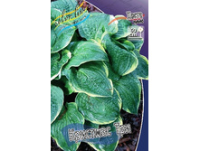 75,1���. ����� �������� ���(�������� ���� �� 2 ��., ����������� ����� 1��.).jpg