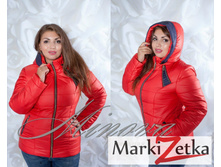 ������ 2630����