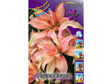 40,86���. ����� ��������(�������� ���� �� 5 ��., ����������� ����� 1��.).jpg