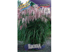 107���. ��������� ������(�������� ���� �� 1 ��., ����������� ����� 1��.).jpg