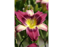 138,6���. �������� ������ ������(�������� ���� �� 1 ��., ����������� ����� 1��.).jpg