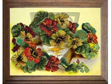 ���������_�515