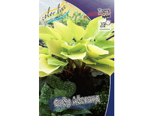 281,2���. ����� ���� ������(�������� ���� �� 1 ��., ����������� ����� 1��.).jpg