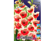 10,18���. ��������� ������(���������� ������ ������ ���������� �� 9 ��.).jpg