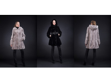 �����. 40-54