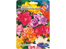 �������� �����.jpg