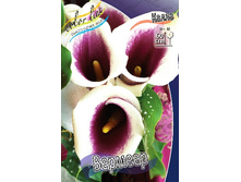 71,75���. ����� �������(�������� ���� �� 2 ��., ����������� ����� 1��.).jpg