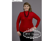 ������� ���. (����) 2/13-2060�