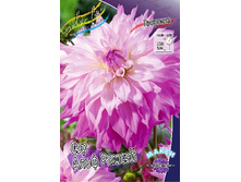 80,2���. �������� ��� ���� ������(�������� ���� �� 1 ��., ����������� ����� 1��.).jpg