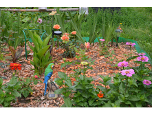 ������� (32).JPG