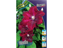 127,8���. �������� �����(�������� ���� �� 3 ��., ����������� ����� 1��.).jpg