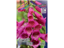 107���. ����������� ������� ����(�������� ���� �� 1 ��., ����������� ����� 1��.).jpg