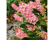 148���. ������ ������������ ���� �����.jpg