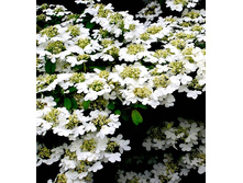 139���. ������ ���������� ��������.jpg