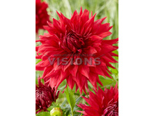 89,4���. �������� ���� ����(�������� ���� �� 1 ��., ����������� ����� 1��.)���16.jpg