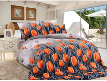 R23-7�-569BF-Z ���������� 8930.jpg