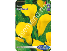 ���� ����.jpg