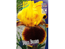 95,3���. ���� ���������� ��� ����(�������� ���� �� 2 ��., ����������� ����� 1��.).jpg