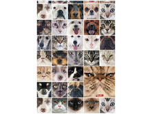 ������-������� �5 96�. �������� ��������, 4-� ������� ���� 67,25.jpg