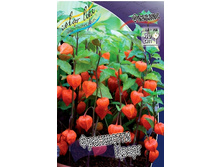 120,3���. ������� ��������� �����(�������� ���� �� 1 ��., ����������� ����� 1��.).jpg