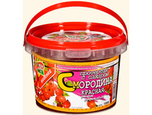 Krasnaya smorodina254.jpg