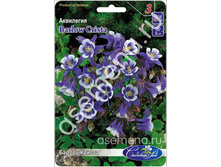 ������ ������.jpg