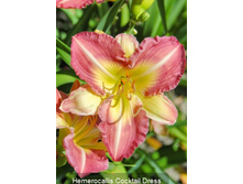 241,4���. �������� ������� �����(�������� ���� �� 1 ��., ����������� ����� 1��.)���16.jpg