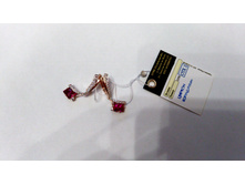 IMG 20151005 082454.jpg