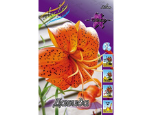 38,78���. ����� ������(�������� ���� �� 5 ��., ����������� ����� 1��.).jpg