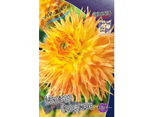 88,5���. �������� ������ �������(�������� ���� �� 1 ��., ����������� ����� 1��.)���14.jpg