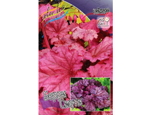 263���. ������� ����� �����(�������� ���� �� 1 ��., ����������� ����� 1��.).jpg