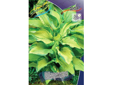 70,1���. ����� ������(�������� ���� �� 2 ��., ����������� ����� 1��.).jpg