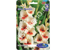 ���� ������.jpg