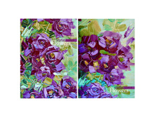 ������-������� �6 64�. ���� Red Rose, ������� ���������, ������� 31,20.jpg