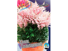 93,8���. �������� ���� �����������(�������� ���� �� 1 ��., ����������� ����� 1��.).jpg