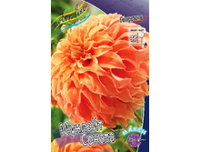 84,8���. �������� ������� ������(�������� ���� �� 1 ��., ����������� ����� 1��.).jpg